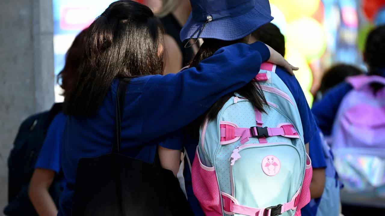 Primary school students in Sydney (file image)