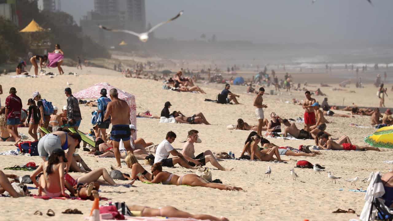 Surfers Paradise beach on the Gold Coast (file image)