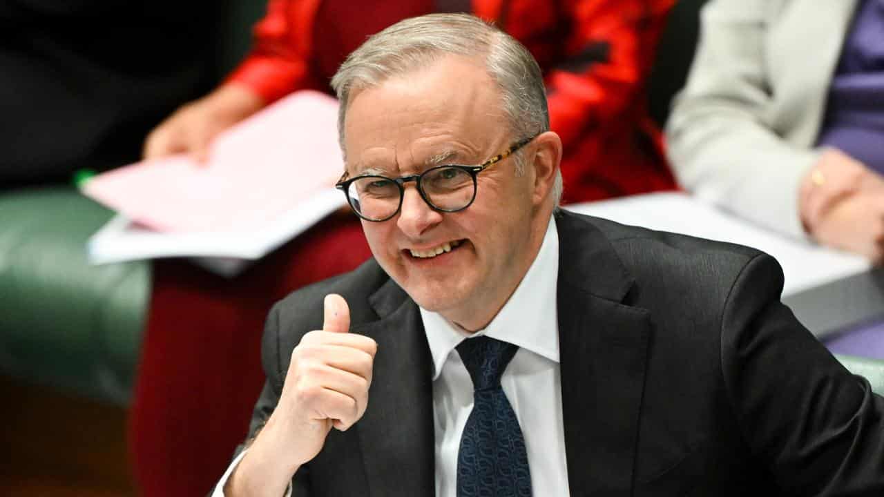 Prime Minister Anthony Albanese (file image)