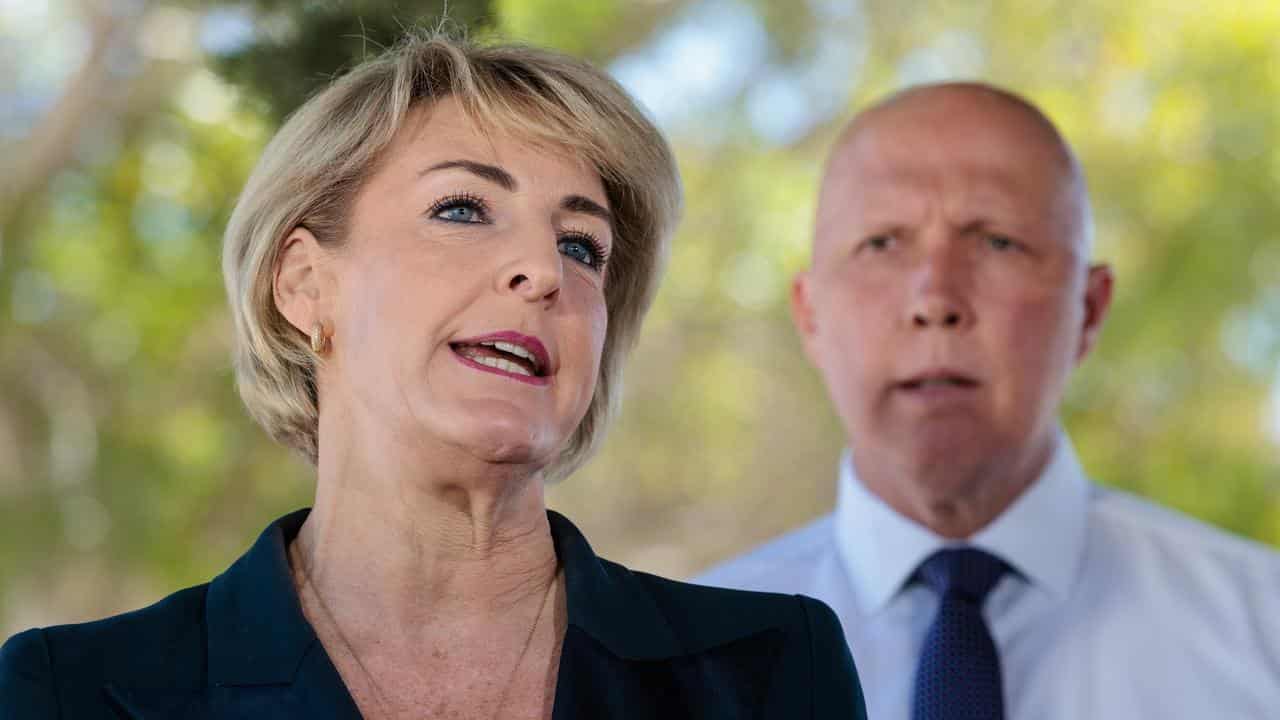 Shadow attorney-general Michaelia Cash