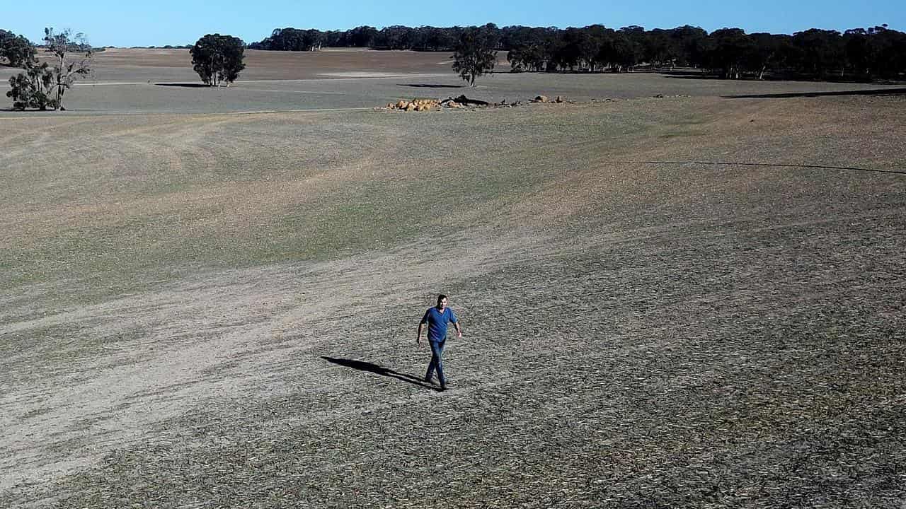 A mixed grains, hay and sheep farmer.