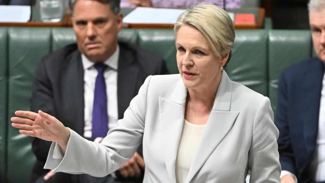 Environment Minister Tanya Plibersek