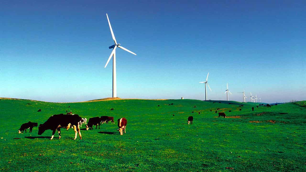 The Codrington Wind Farm in south western Victoria (file image)