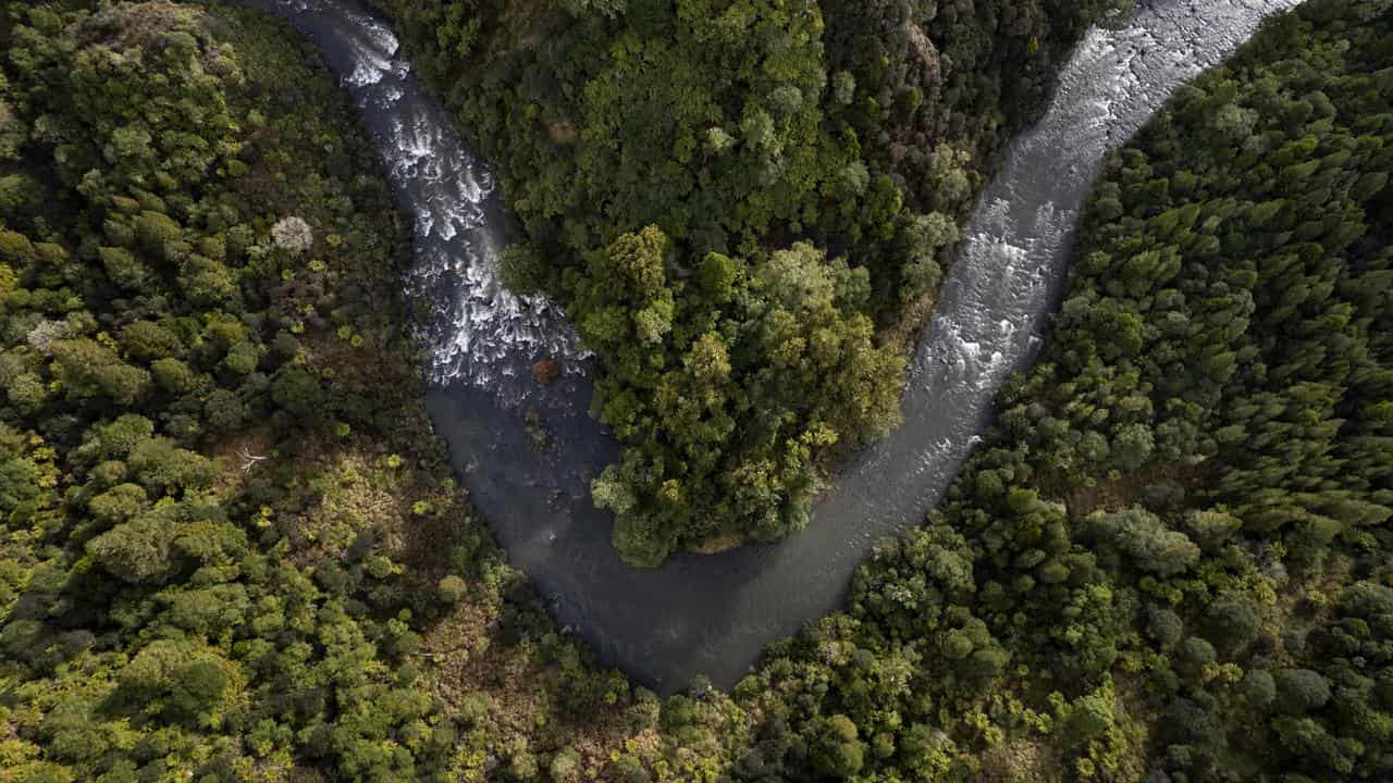 New Zealand's Whanganui River