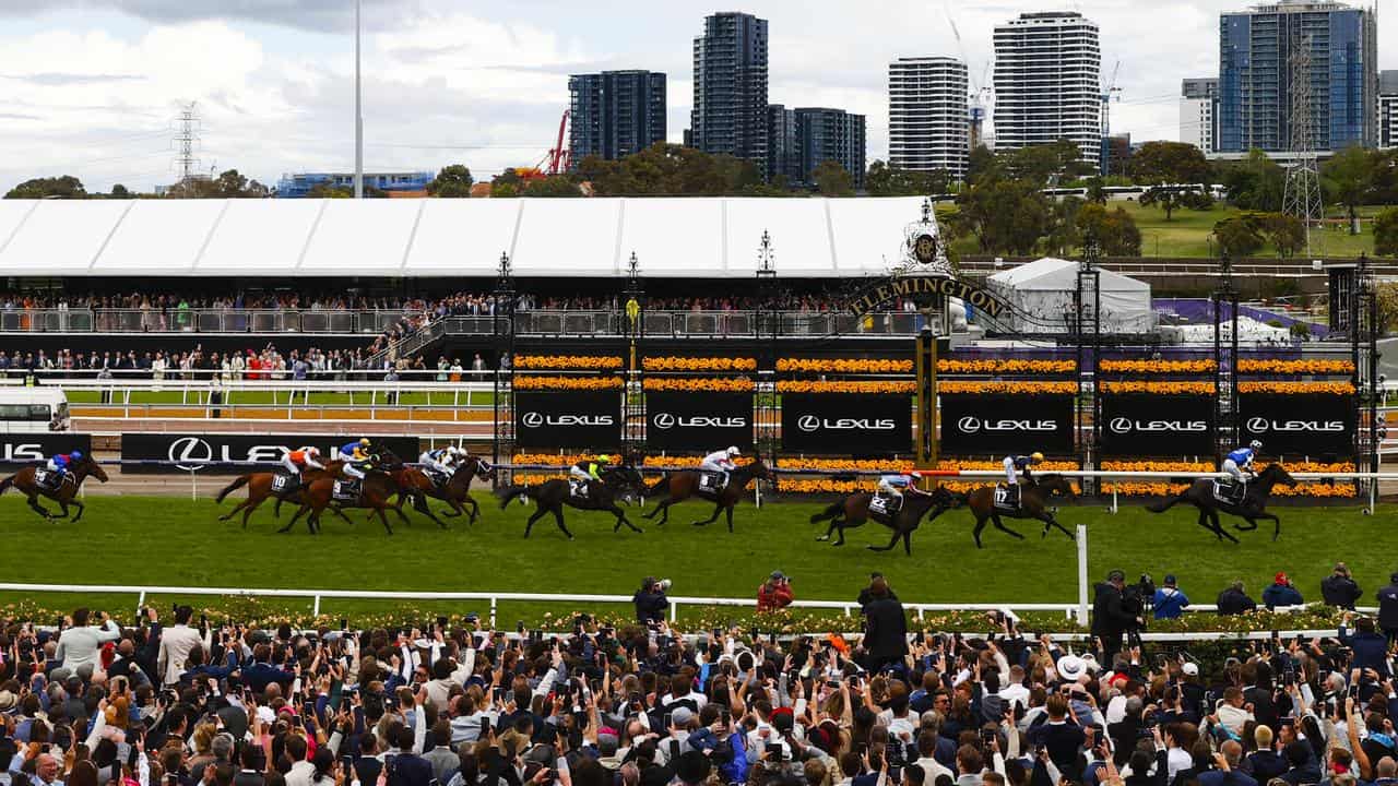 Horses race at Flemington 