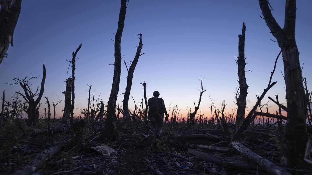 Russia Ukraine War The Road to Bakhmut