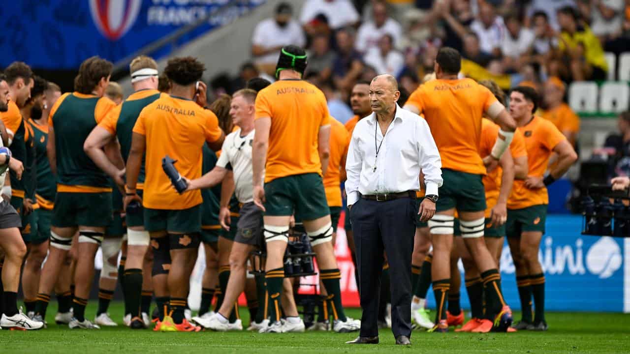 wallabies coach Eddie Jones at the Rugby World Cup.