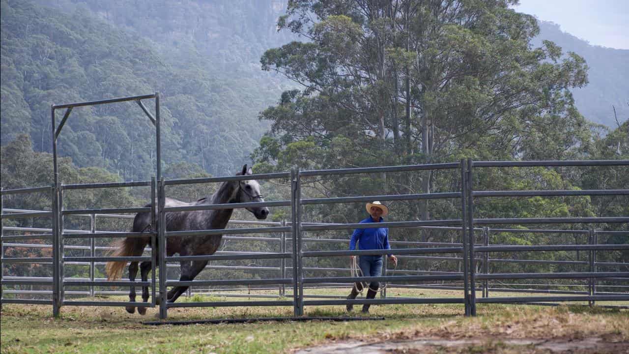 Horse trainer Scott Brodie