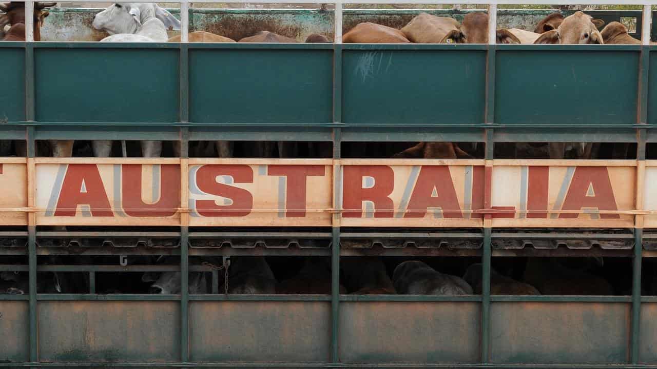 China tariffs on Australian products