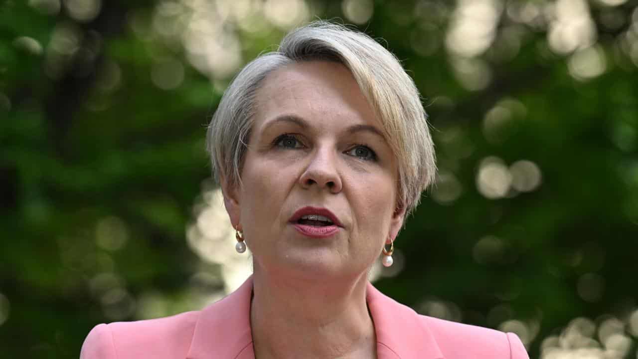 Tanya Plibersek