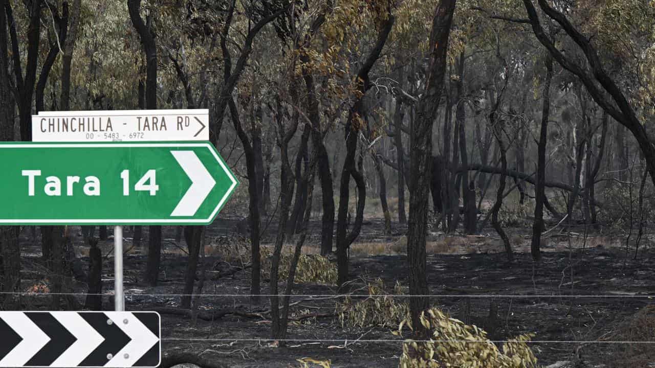 Bushland damaged by fire near the town of Tara