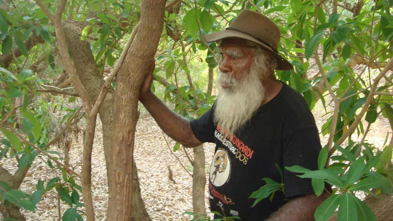 Nyikina Mangala man John Watson (file image)