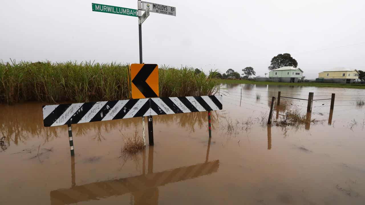 Floodwaters west of Condong near the town of Murwillumbah, NSW