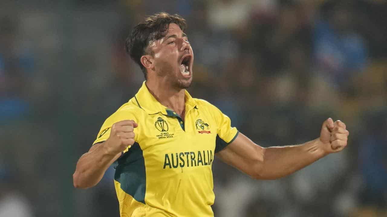 stoinis