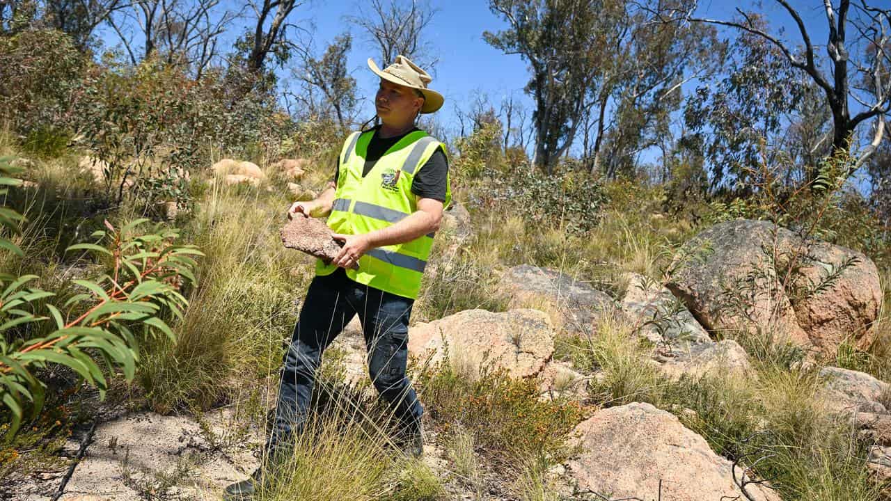 James Fitzgerald helps setting up marsupial dens.