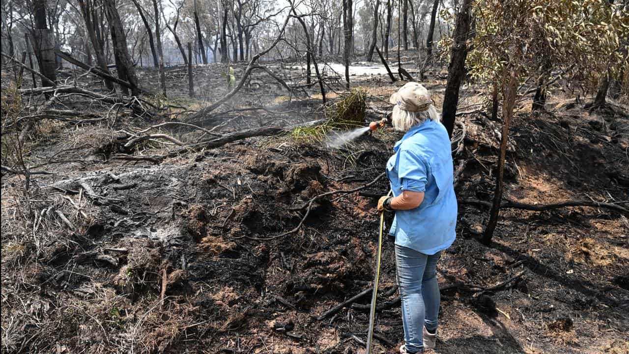 Wendy Austin puts out spot fires near Dalveen, Qld