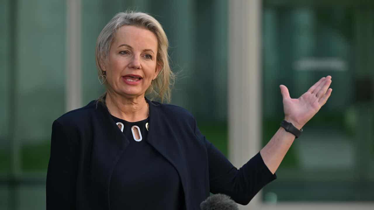 Sussan Ley