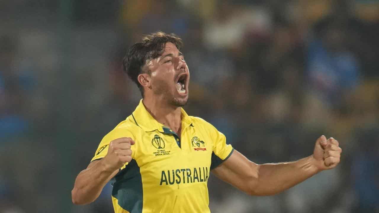 Stoinis set to be back