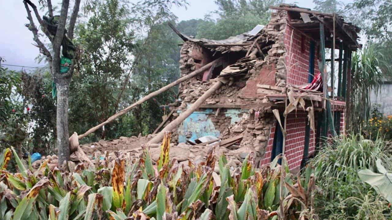 Houses damaged by quake