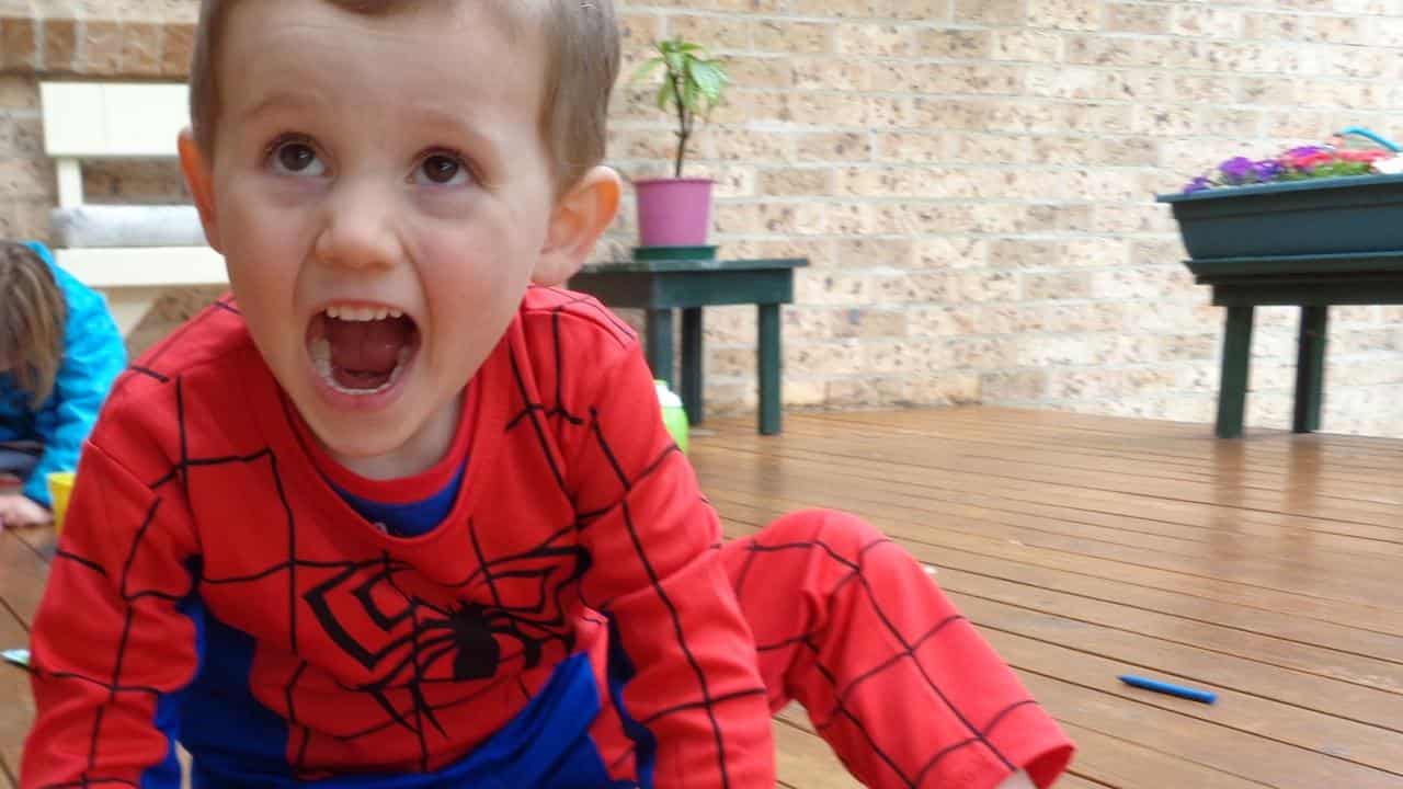 William Tyrrell (file image)