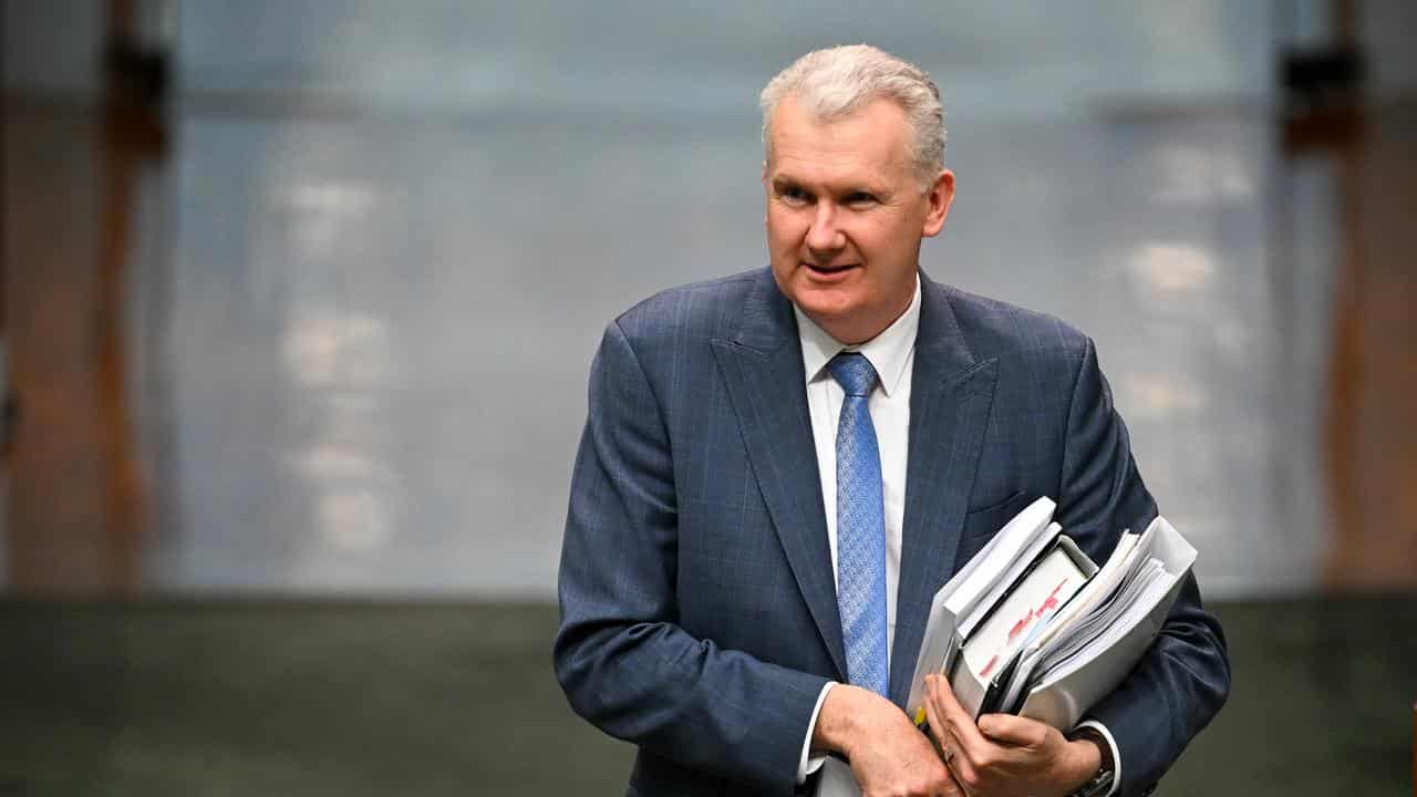 Employment Minister Tony Burke