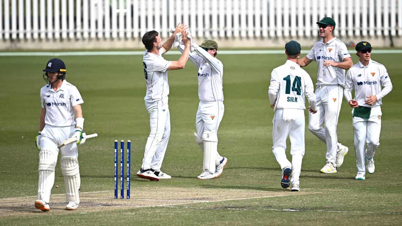 Tasmania's Mitch Owen (2nd left) dismisses Will Pucovski of Victoria. 