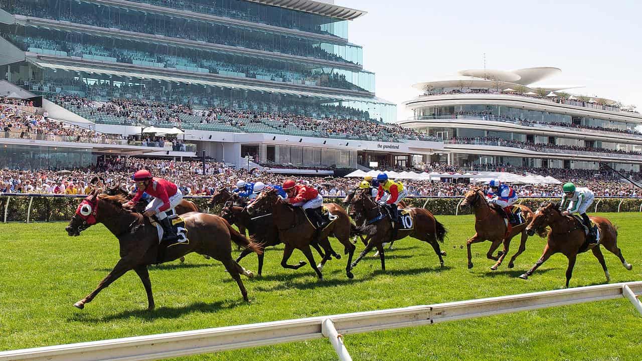 Jockey Damien Oliver rides Wiggum (left) to victory at Flemington.