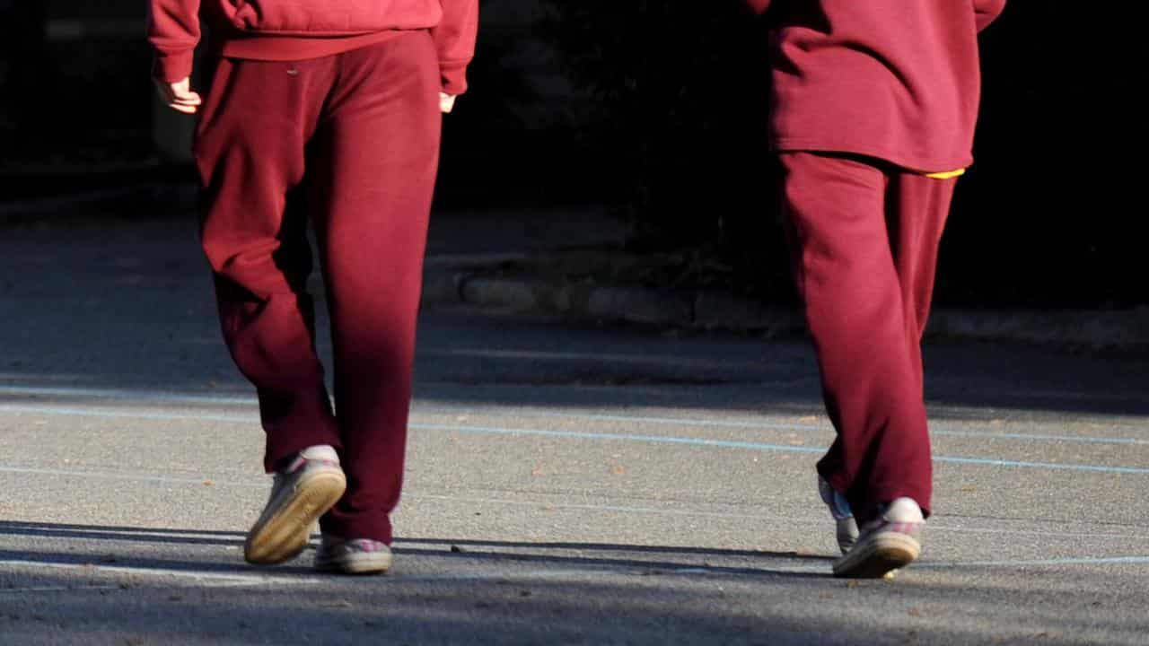 Students in a school playground (file image)