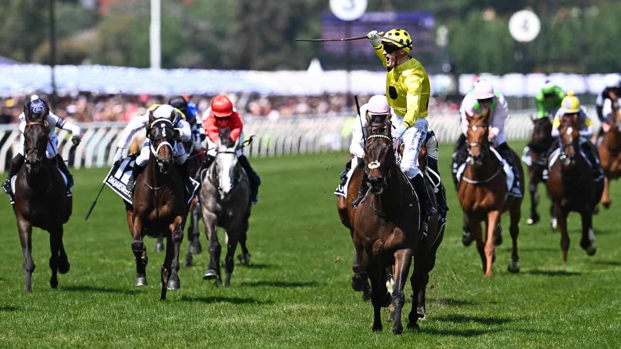 Without A Fight wins the Melbourne Cup.