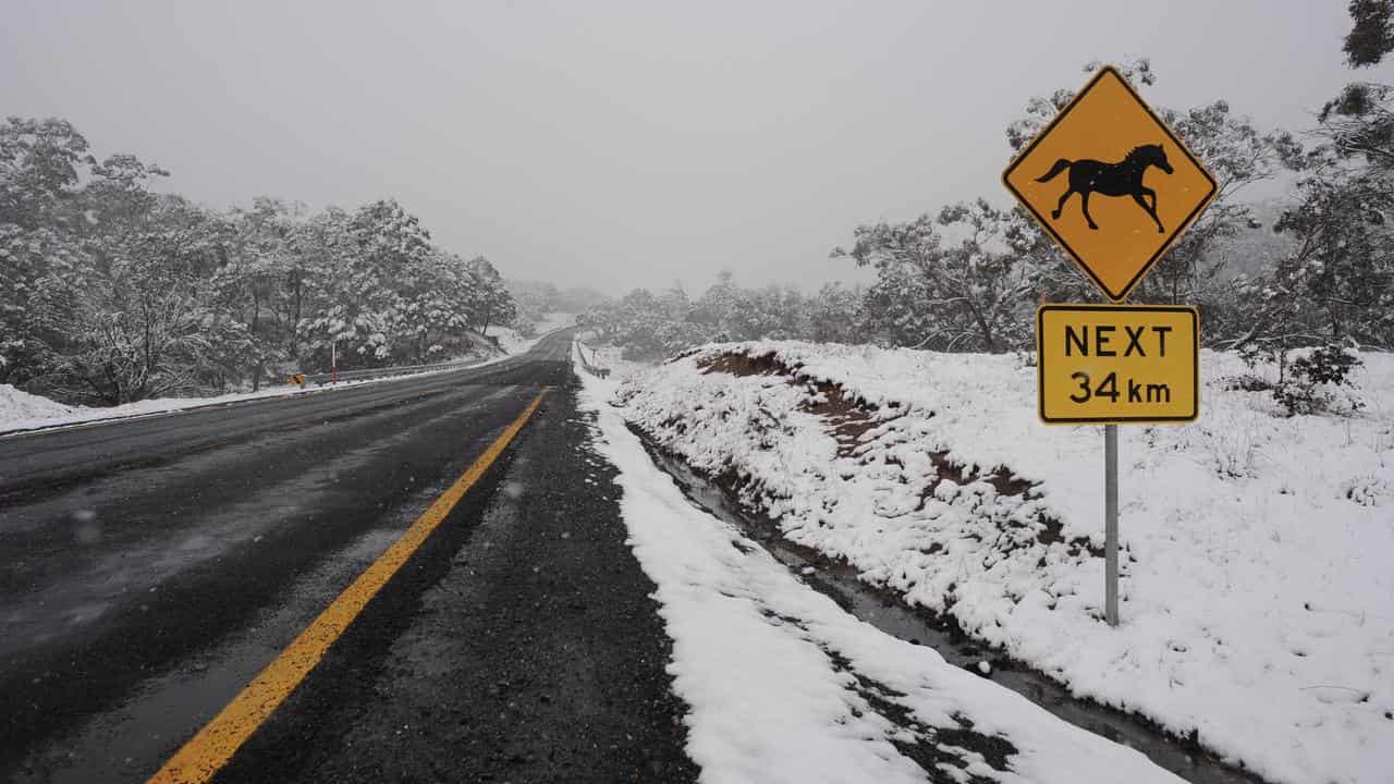 Brumbies sign in Kosciuszko National Park