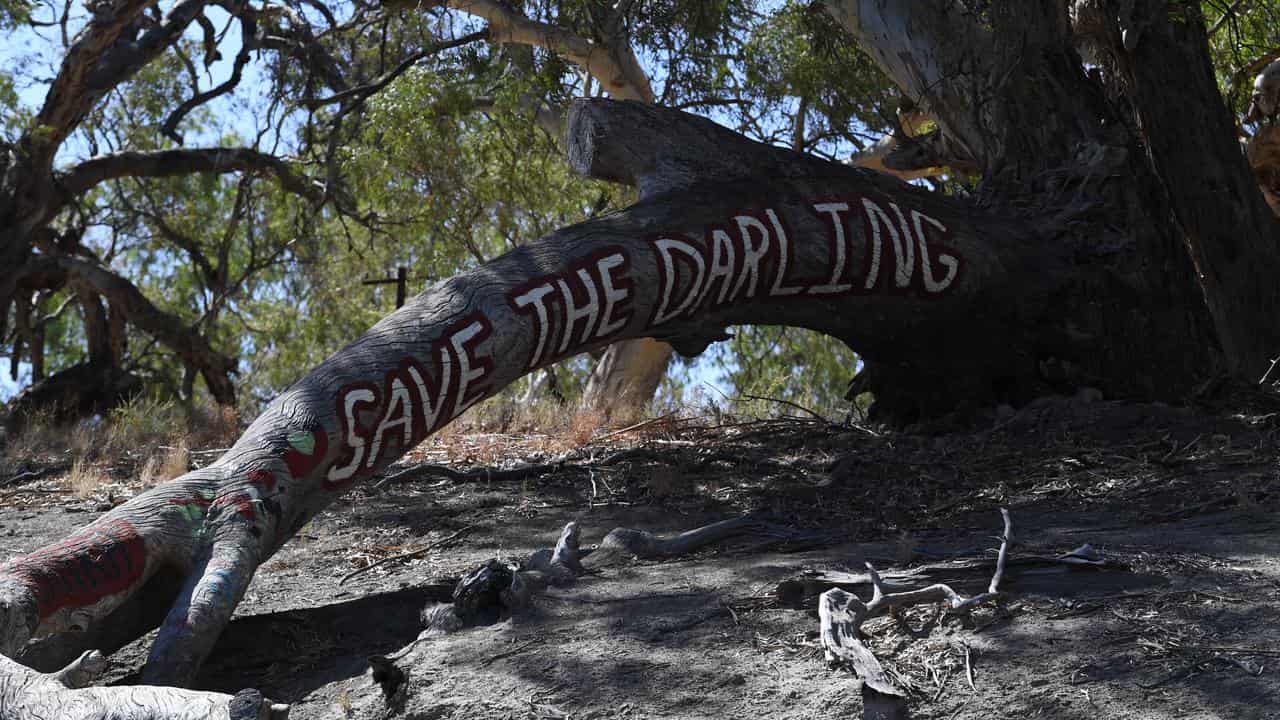 A protest sign painted on a tree (file image)