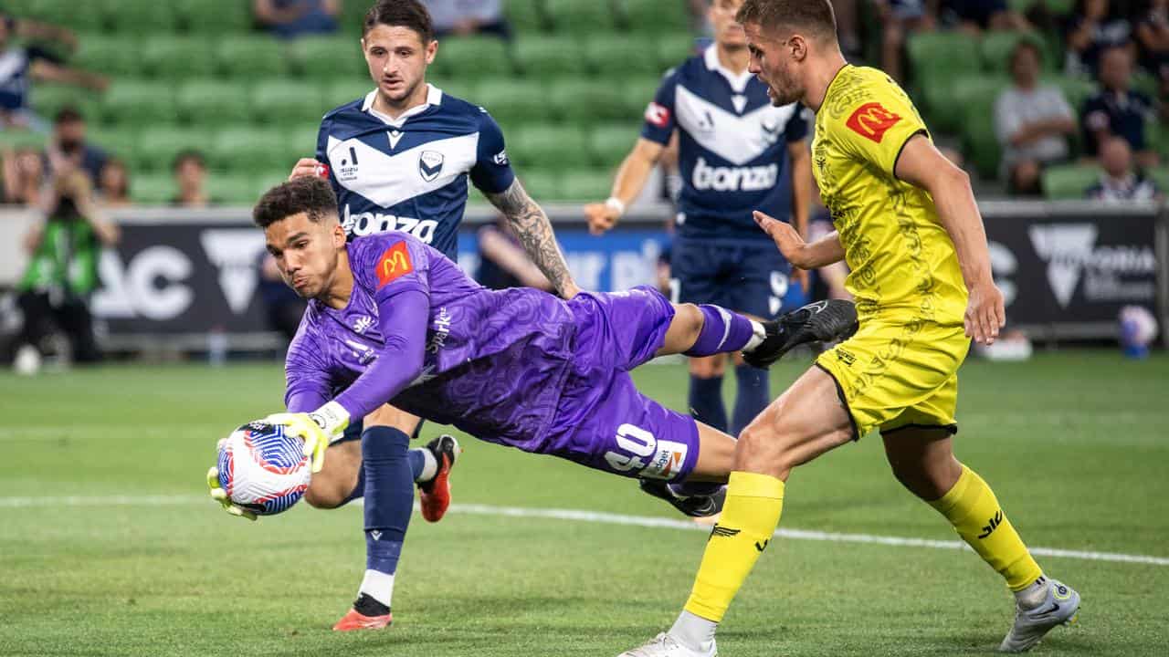 Wellington keeper Alex Paulsen. 