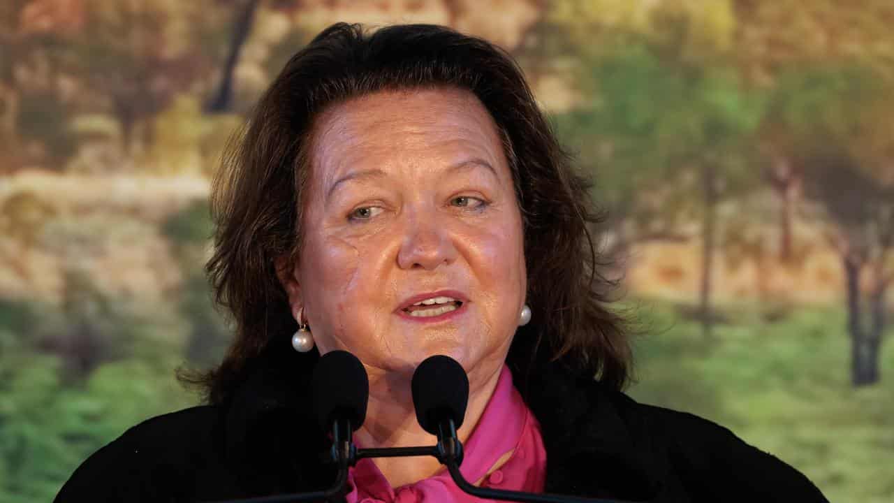 Gina Rinehart (file image)