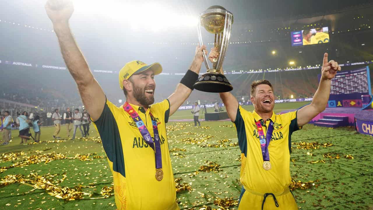 Glenn Maxwell and David Warner.