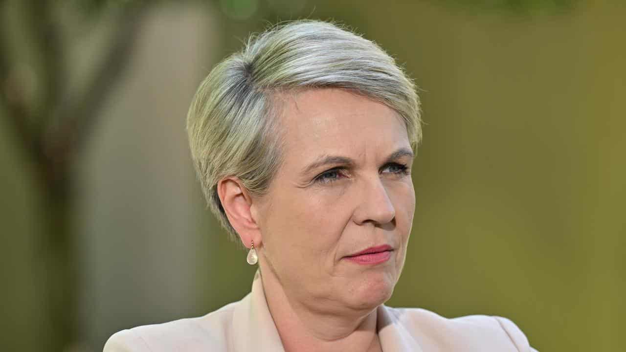 Environment minister Tanya Plibersek