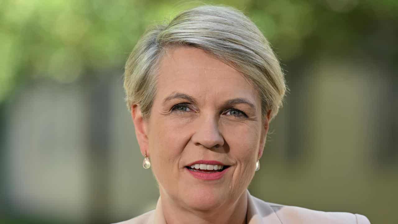 Minister for Environment Tanya Plibersek