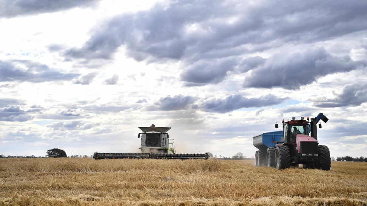 The property of grain producer Matthew Madden near Moree