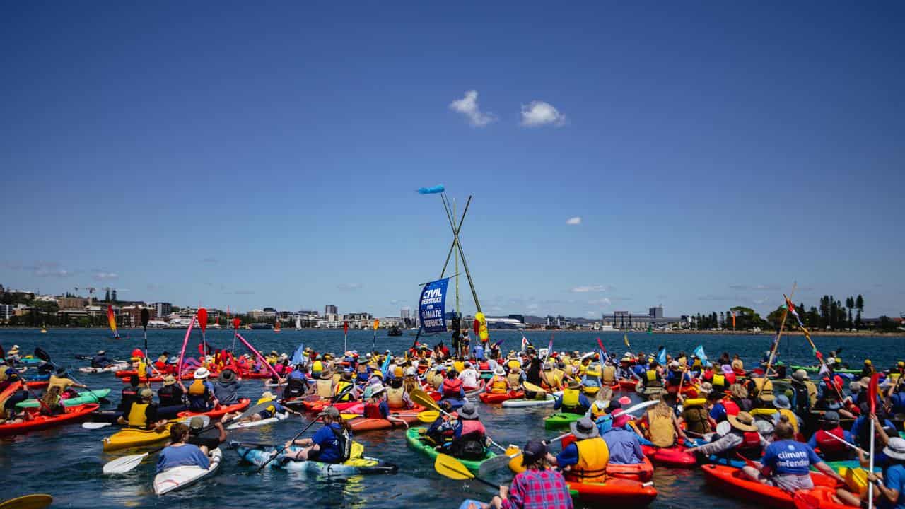 A flotilla of kayaks