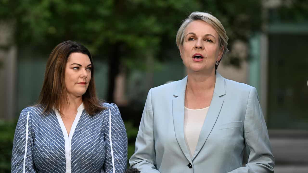 Tanya Plibersek and Senator Sarah Hanson-Young