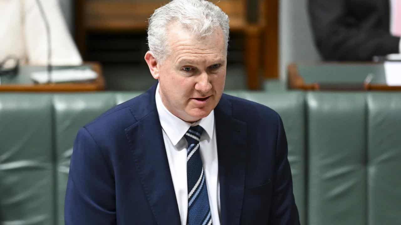 Australian Employment Minister Tony Burke