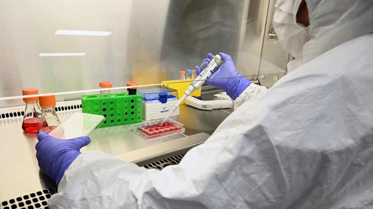 A vaccine research scientist in a lab (file image)