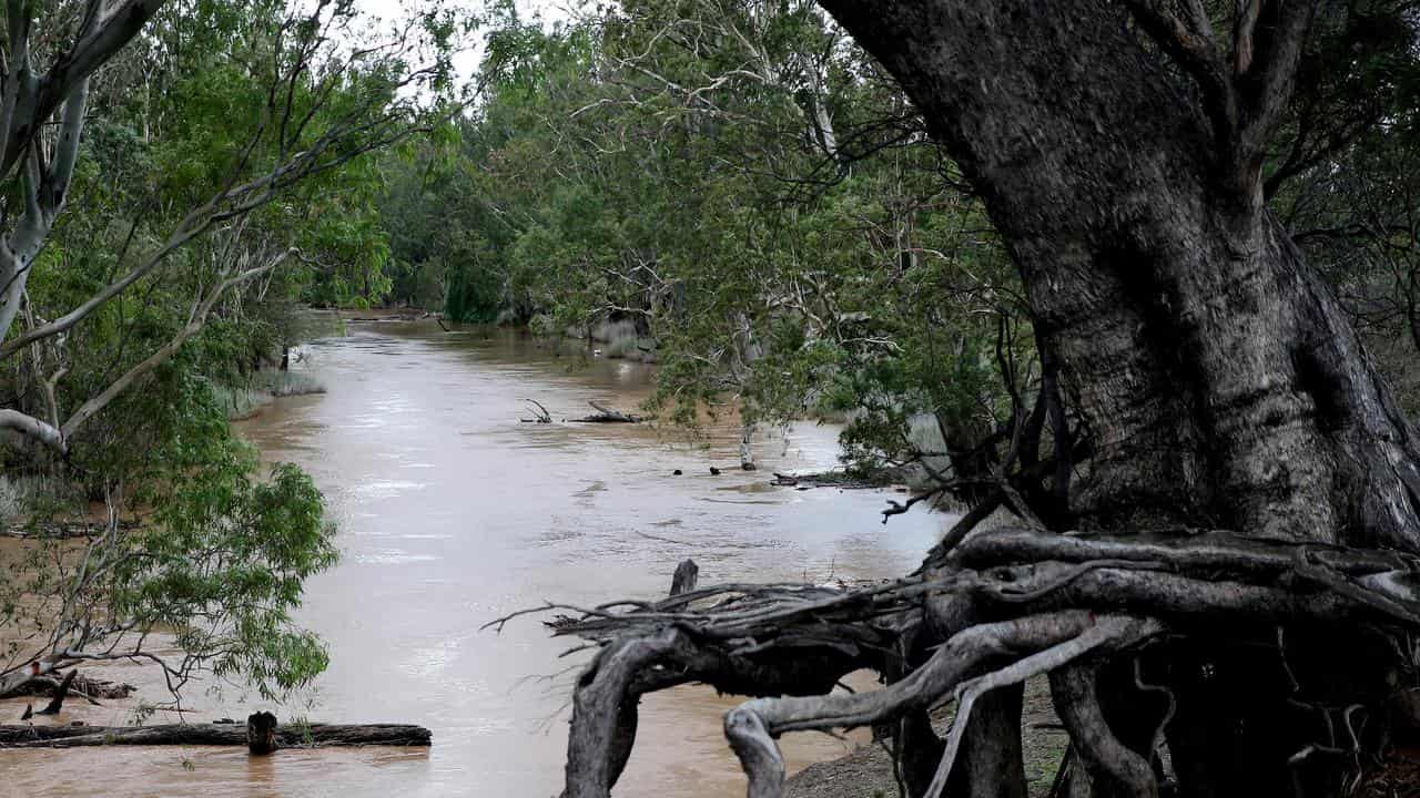 The Namoi River in Gunnedah