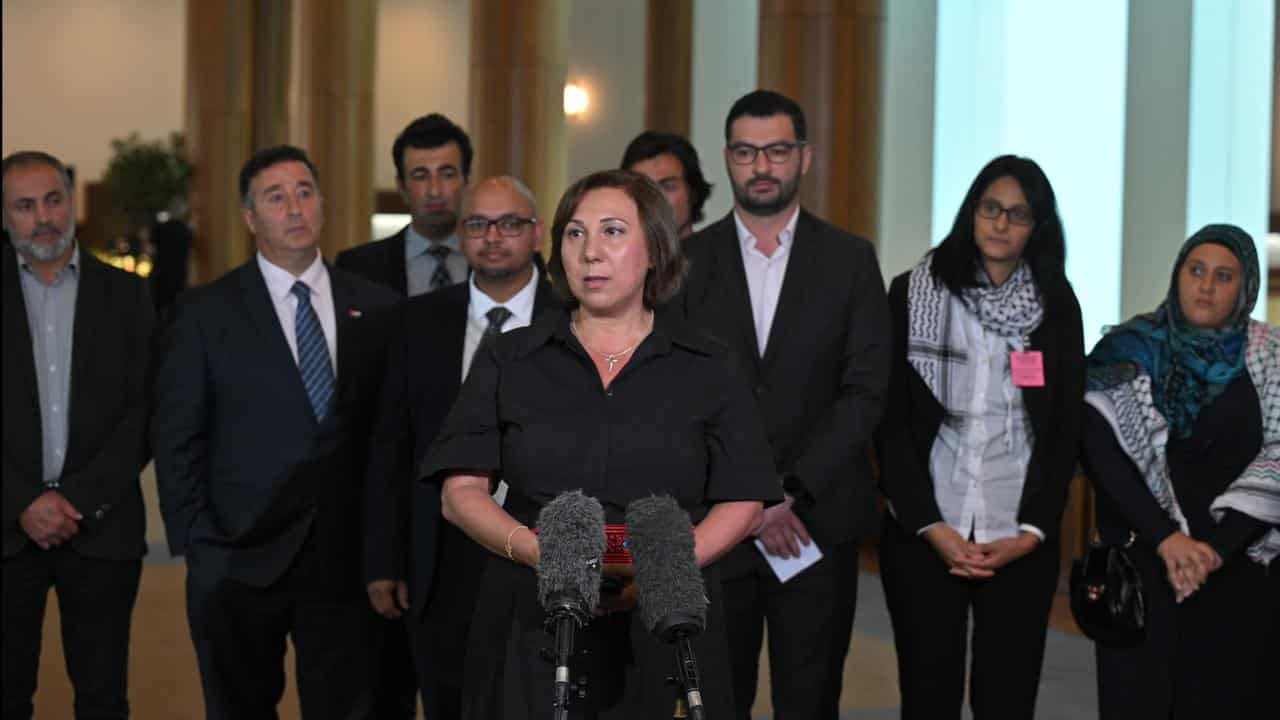 Labor Friends of Palestine delegation