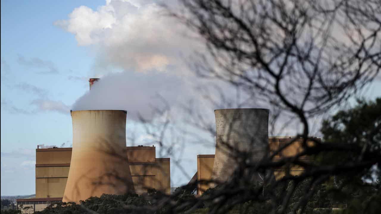 Coal-fired power plant stock