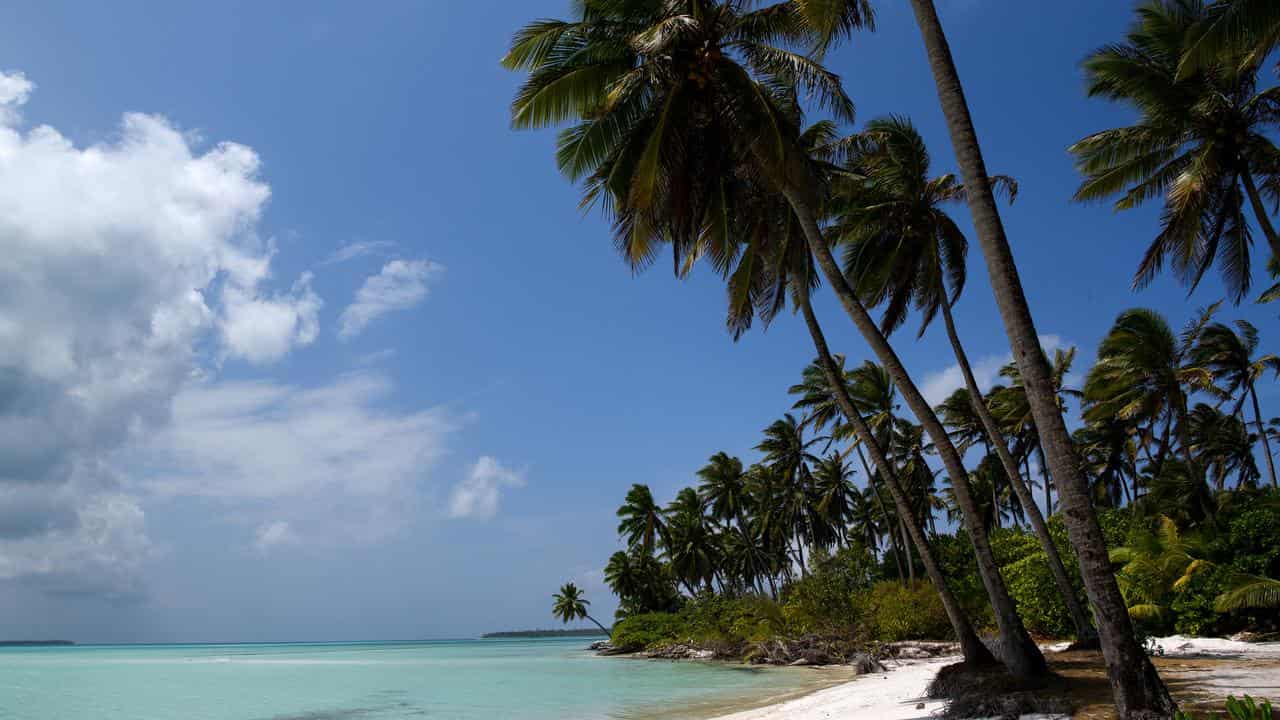 Coconut trees on a beach on Home Island.