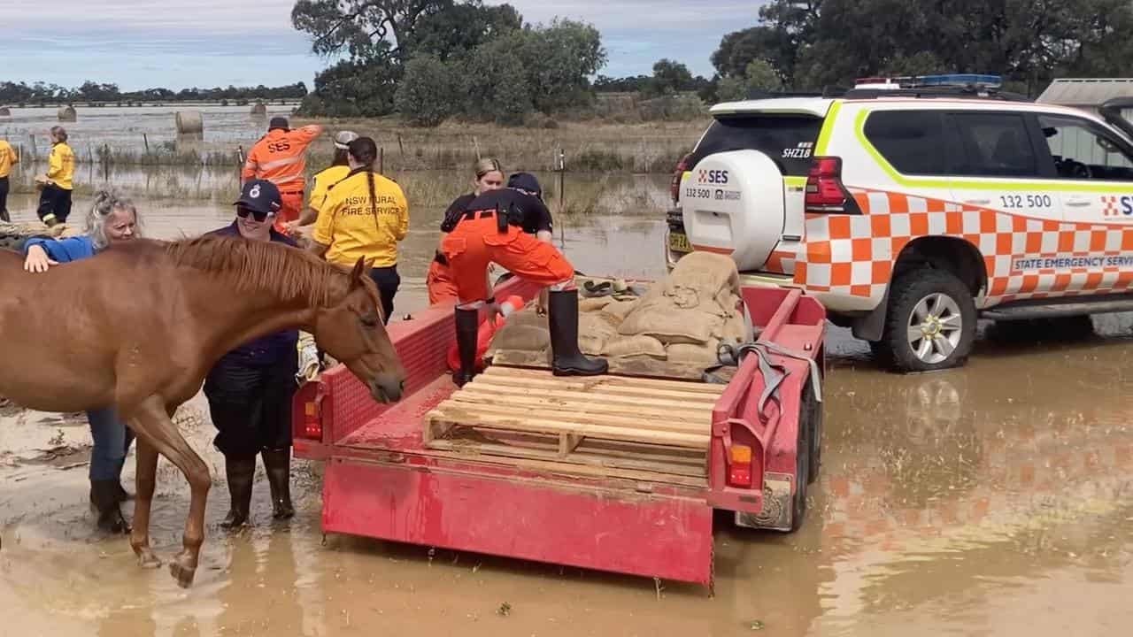 People sandbagging in Bega.