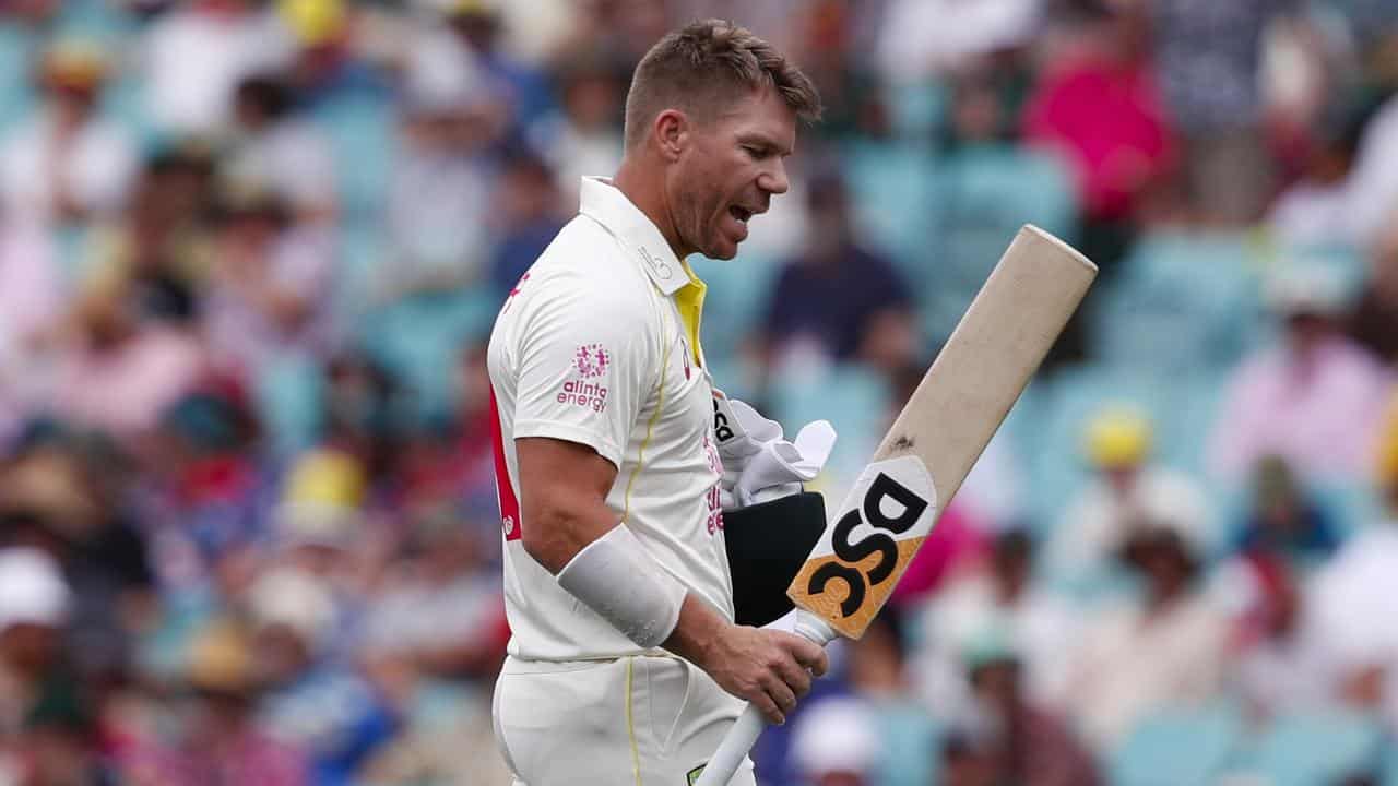 David Warner