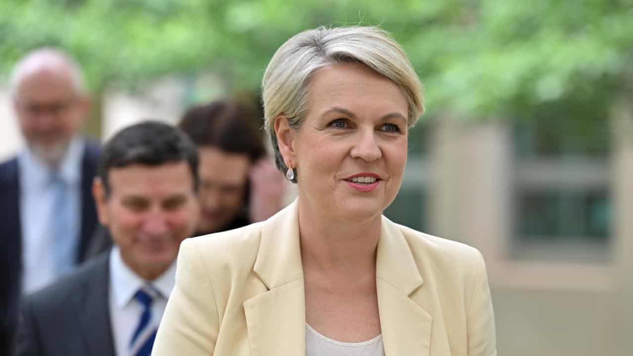 Environment Minister Tanya Plibersek.