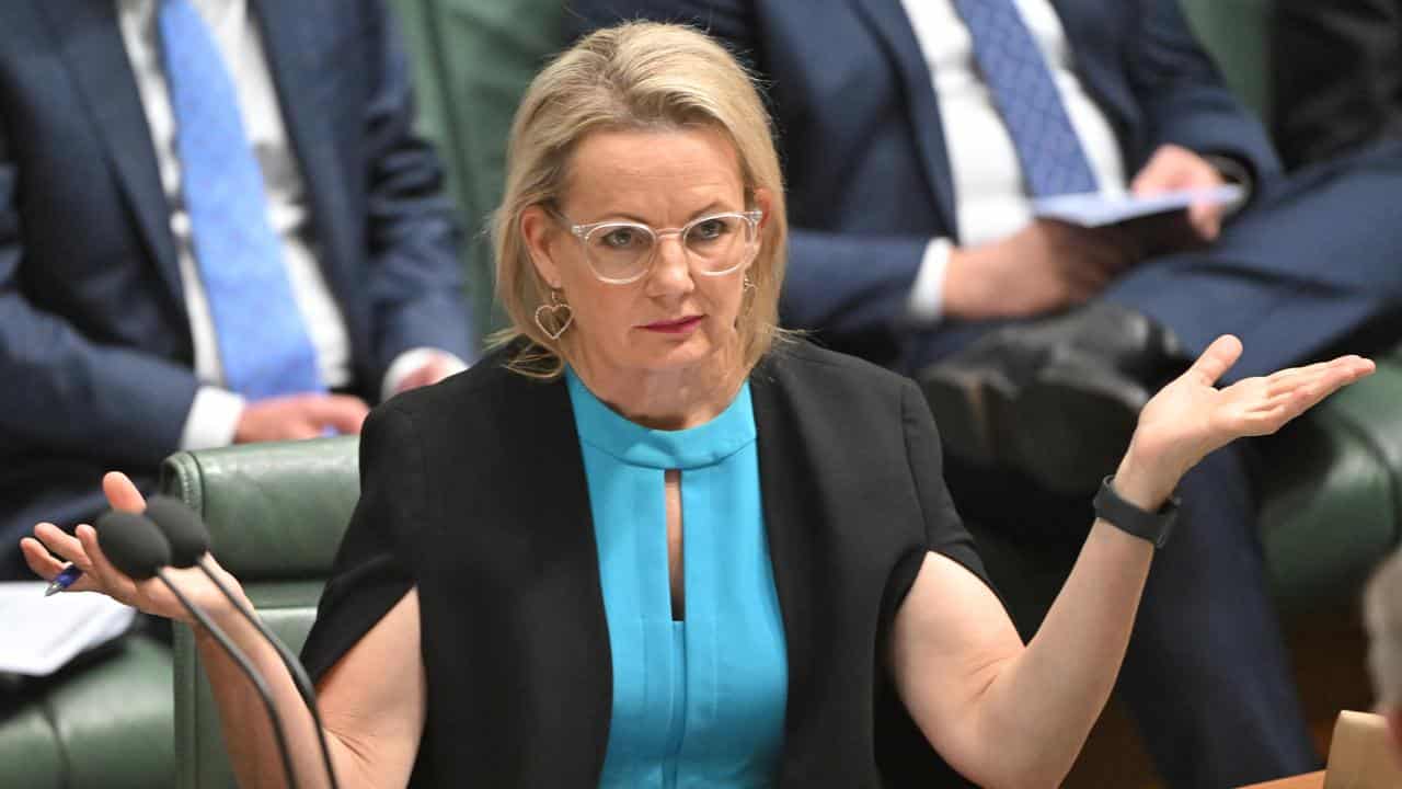 Deputy Liberal leader Sussan Ley.