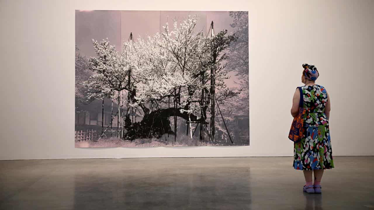 A museum visitors view one of the artworks